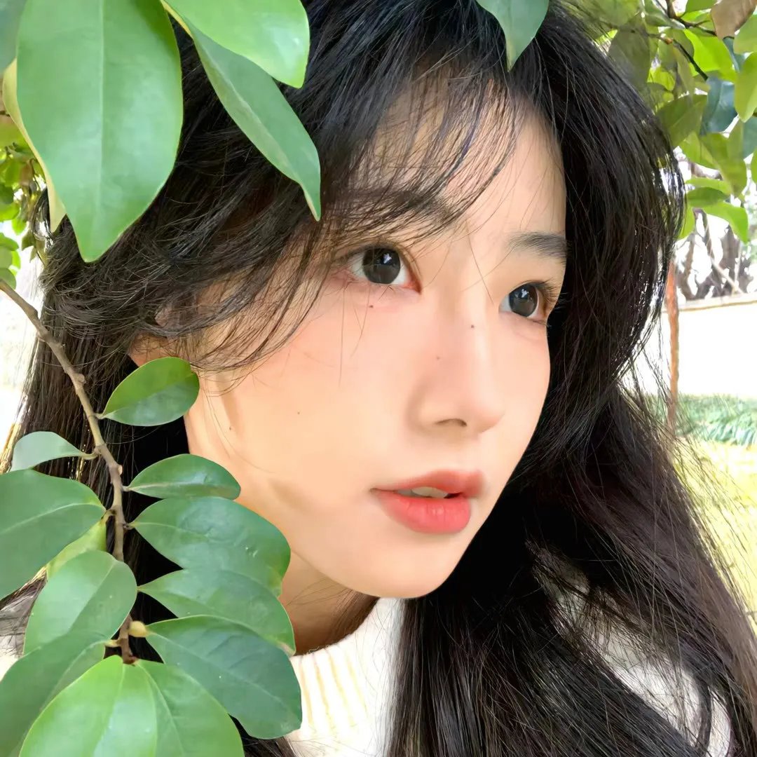 开播诱捕你 高清封面